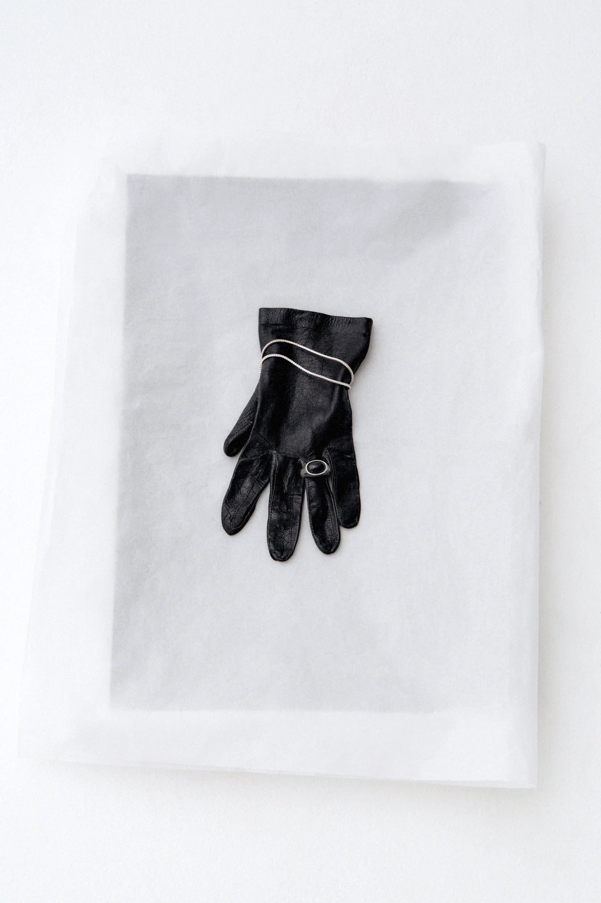 BRIE LEON | Santiago Ring